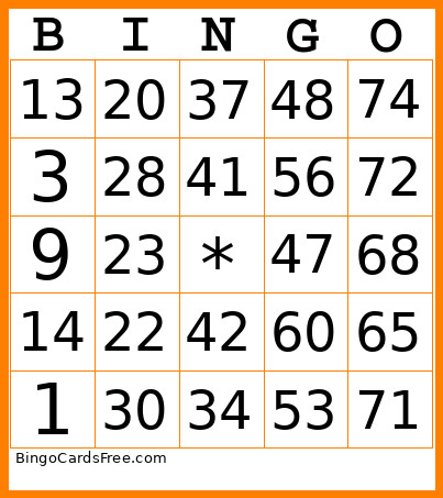 1-75 Number Bingo Card